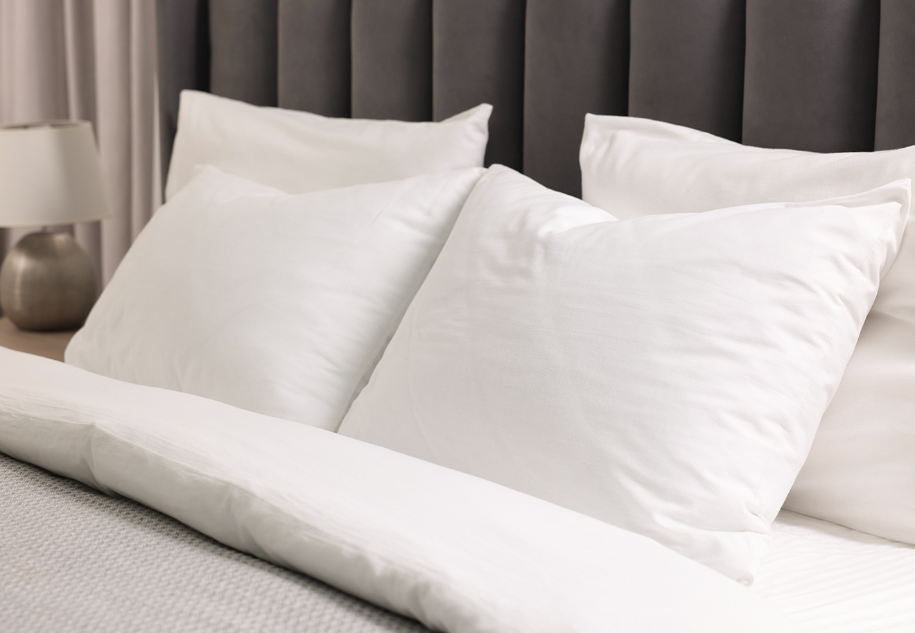 Natural Latex Pillow